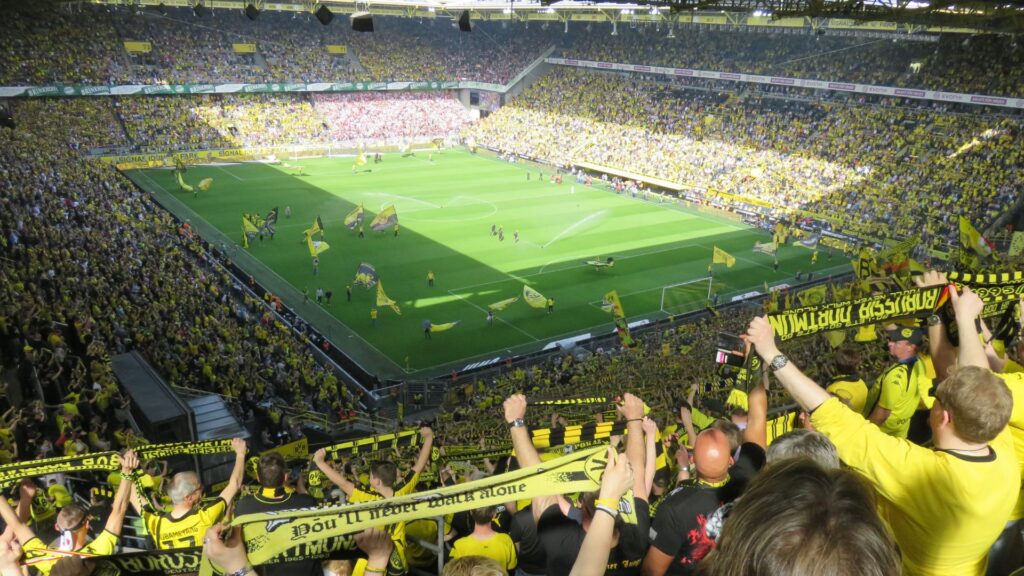 Fans en el estadio